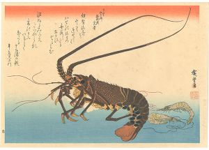 広重初代「魚づくし　伊勢海老・芝蝦【復刻版】」