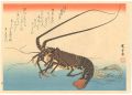 A Series of Fish Subjects / Lo......