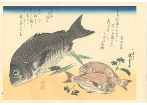 広重初代「魚づくし　黒鯛・小鯛に山椒【復刻版】」