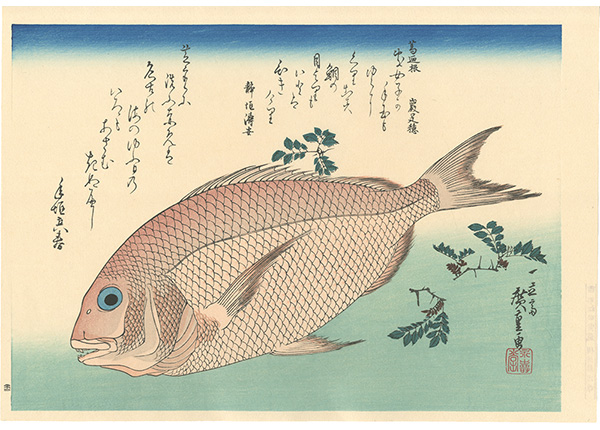 広重初代「魚づくし　鯛に山椒【復刻版】」