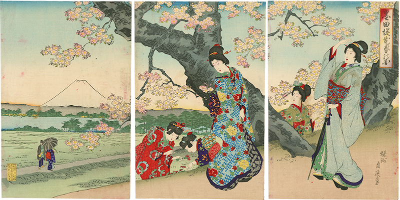 Chikanobu “Cherry Blossoms at Sumida”
