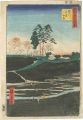 100 Famous Views of Edo / Gote......