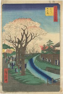 広重初代「名所江戸百景　玉川堤の花」