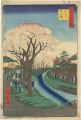 100 Famous Views of Edo / Cher......