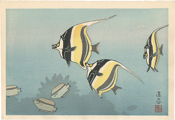 吉田遠志「ハワイの魚 B」