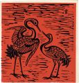 Crane (tentative title)