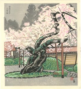 徳力富吉郎「常照皇寺 九重桜」