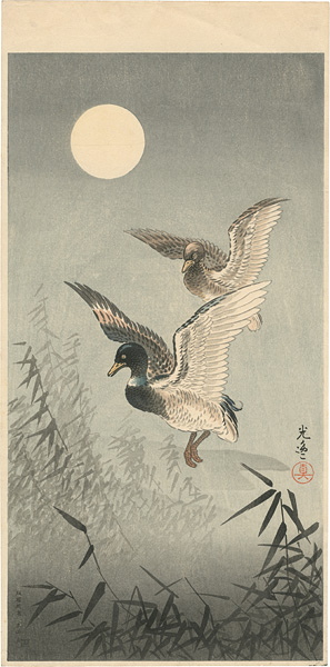 Tsuchiya Koitsu “Wild Duck”