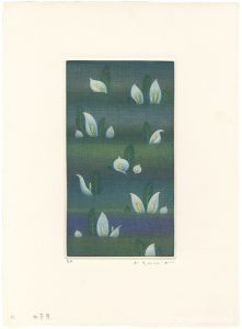 Shimizu Atsushi / Skunk Cabbage