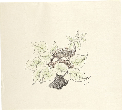 Oka Shikanosuke “Nest”