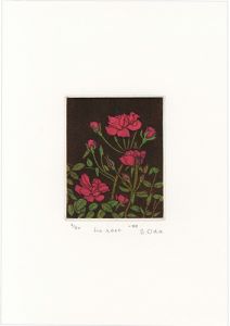 Oda Shigeru / La Rose