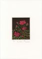 La Rose