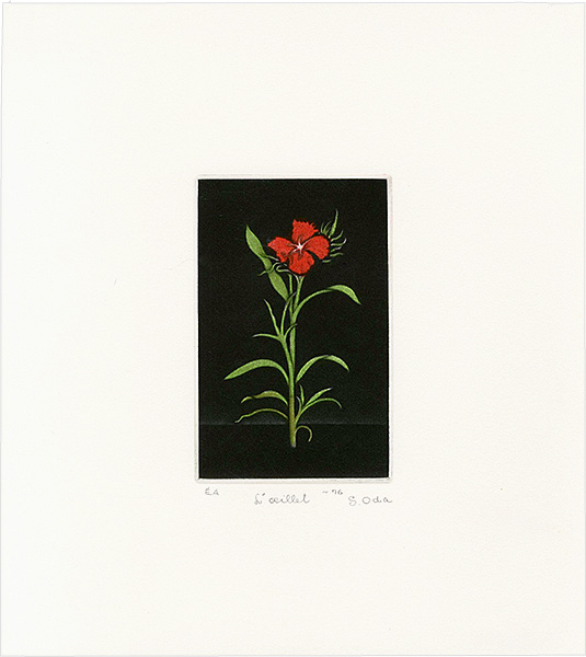 Oda Shigeru “L' Oeillet”