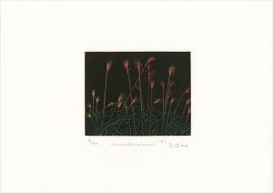 Oda Shigeru / Miscanthus Sinensis