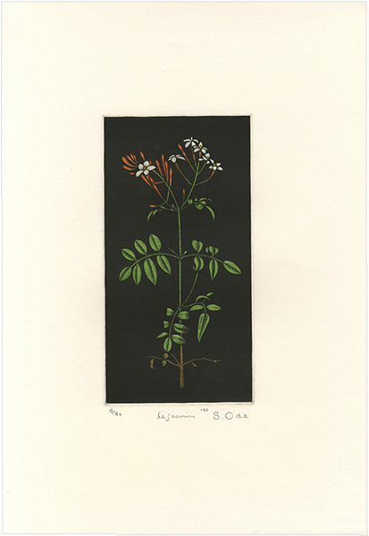 Oda Shigeru “Le Jasmin”