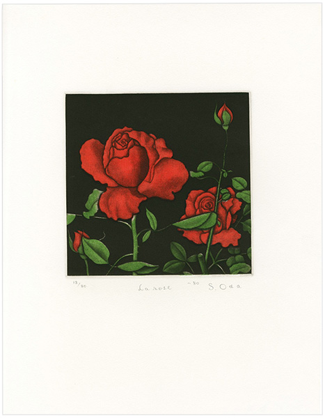 Oda Shigeru “La Rose”