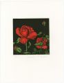 La Rose