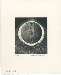 The Torn Spring