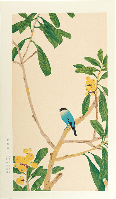 Imamura Shiko “Loquat and java sparrow”
