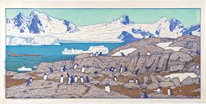 Yoshida Toshi / Gentoo Penguins