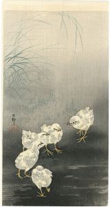 Ohara Koson(Shoson) / Chicks Fighting over a Worm