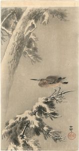 Ohara Koson(Shoson) / Black-crowned Night Heron on Snowy Pine Branch