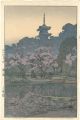 Eight Scenes of Cherry Blossom......