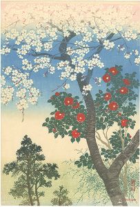 Kawatsura Yoshio (Negoro Raizan) / Cherry blossoms and Camellia