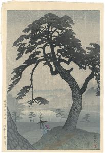 紀の国坂　梅雨