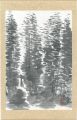 Sumi-ink Paintings, from "Haim......