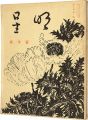 Myojo Vol.10 No.1