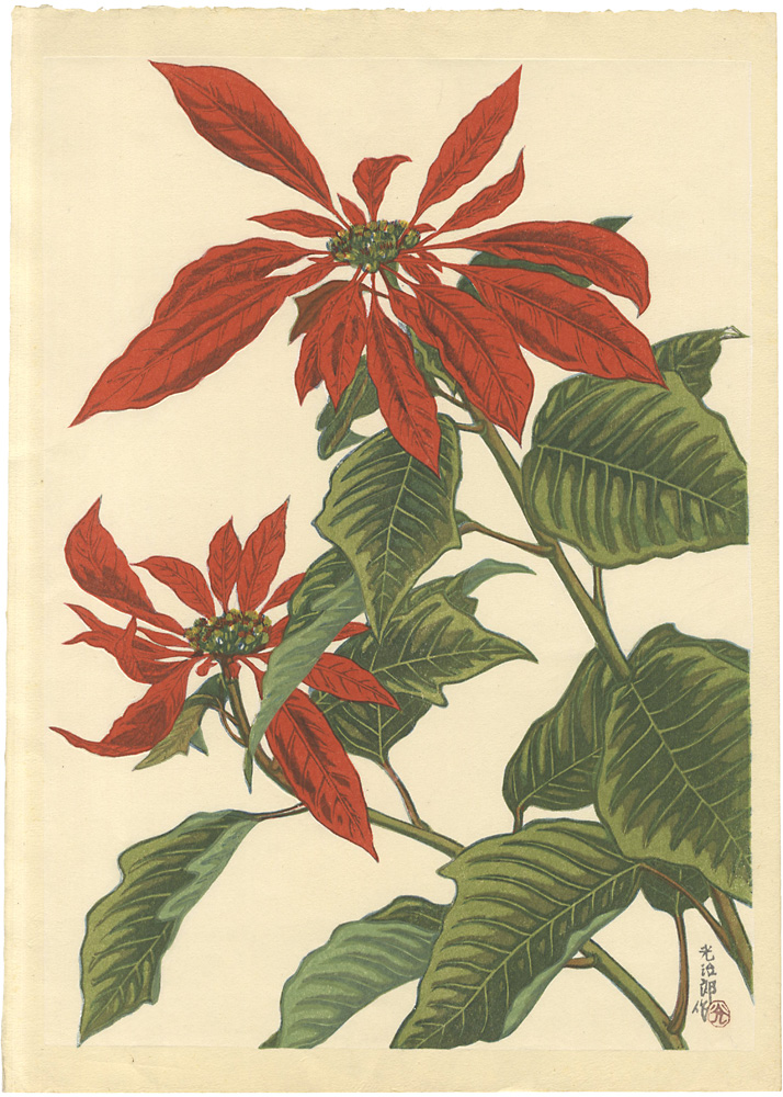 Funasaki Kojiro “Poinsettia (tentative title)”