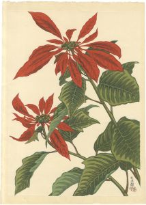 Funasaki Kojiro / Poinsettia (tentative title)
