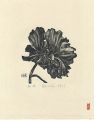 Peony