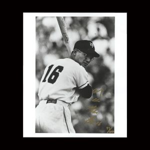 Kawakami Tetsuharu / Photo