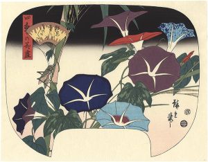 広重初代「四季の花尽　朝顔【復刻版】」