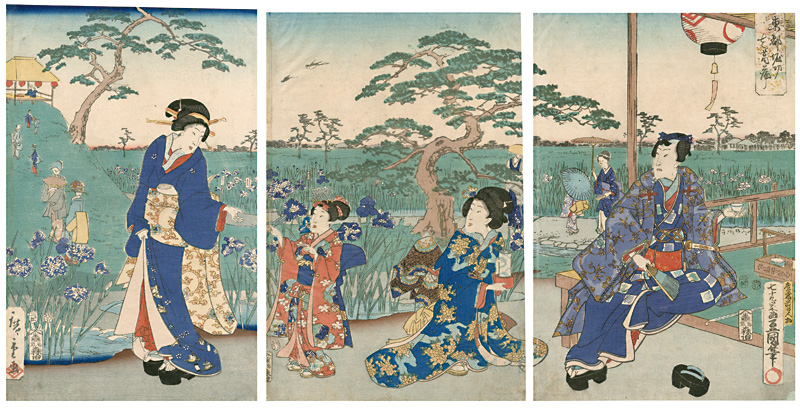 豊国三代　広重初代「東都堀切花菖蒲」