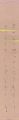 A Strip of Fancy Paper for Aut......