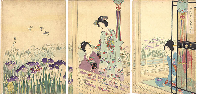 周延「千代田之大奥　花菖蒲」