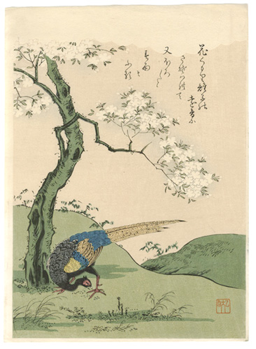 Komatsuya Hyakki “Selected Masterpieces of Ukiyo-e Flowers & Birds / Cherry Blossoms and Pheasant【Reproduction】”