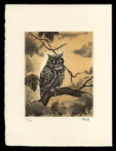 Fujimoto Yoshimichi / Scops Owl