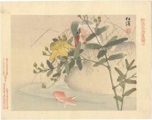 山田松溪「松溪花鳥画譜　七」