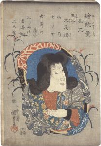 絵鏡台見立三十木花撰　信乃 犬たで