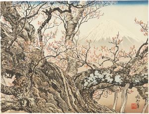Jokata Kaiseki / Cherry Blossoms at Komadome and Mount Fuji
