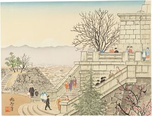 Jokata Kaiseki / Kofu Park and Mount Fuji