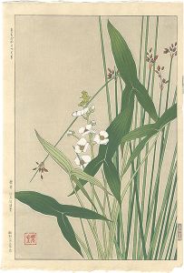 Kawarazaki Shodo / Sagittaria trifolia and Schoenoplectus tabernaemontani
