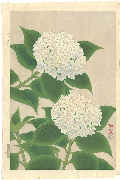 Ito Nisaburo “Hydrangea”