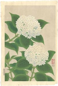 Ito Nisaburo / Hydrangea
