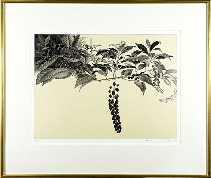 Takeda Fumiko “Inkberry”
