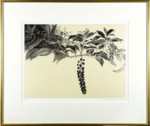 Takeda Fumiko / Inkberry